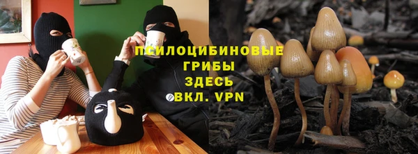 прущий лед Армянск